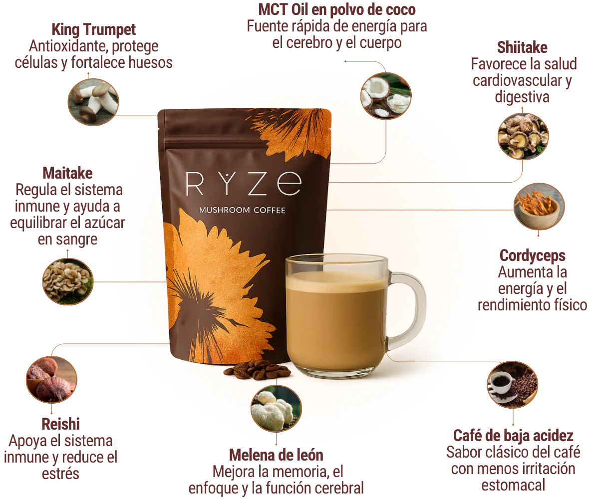 RYZE || Cafe de hongos + Regalo 🎁