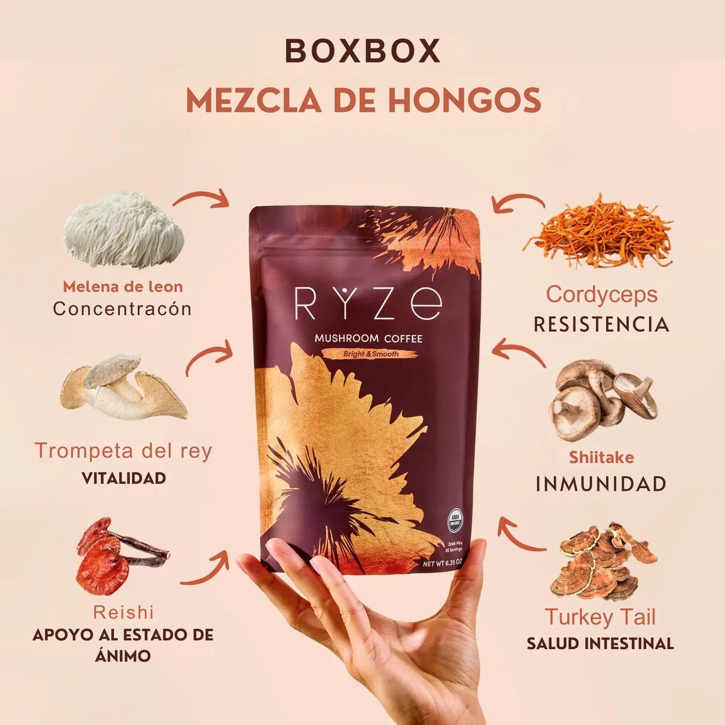 RYZE || Cafe de hongos + Regalo 🎁