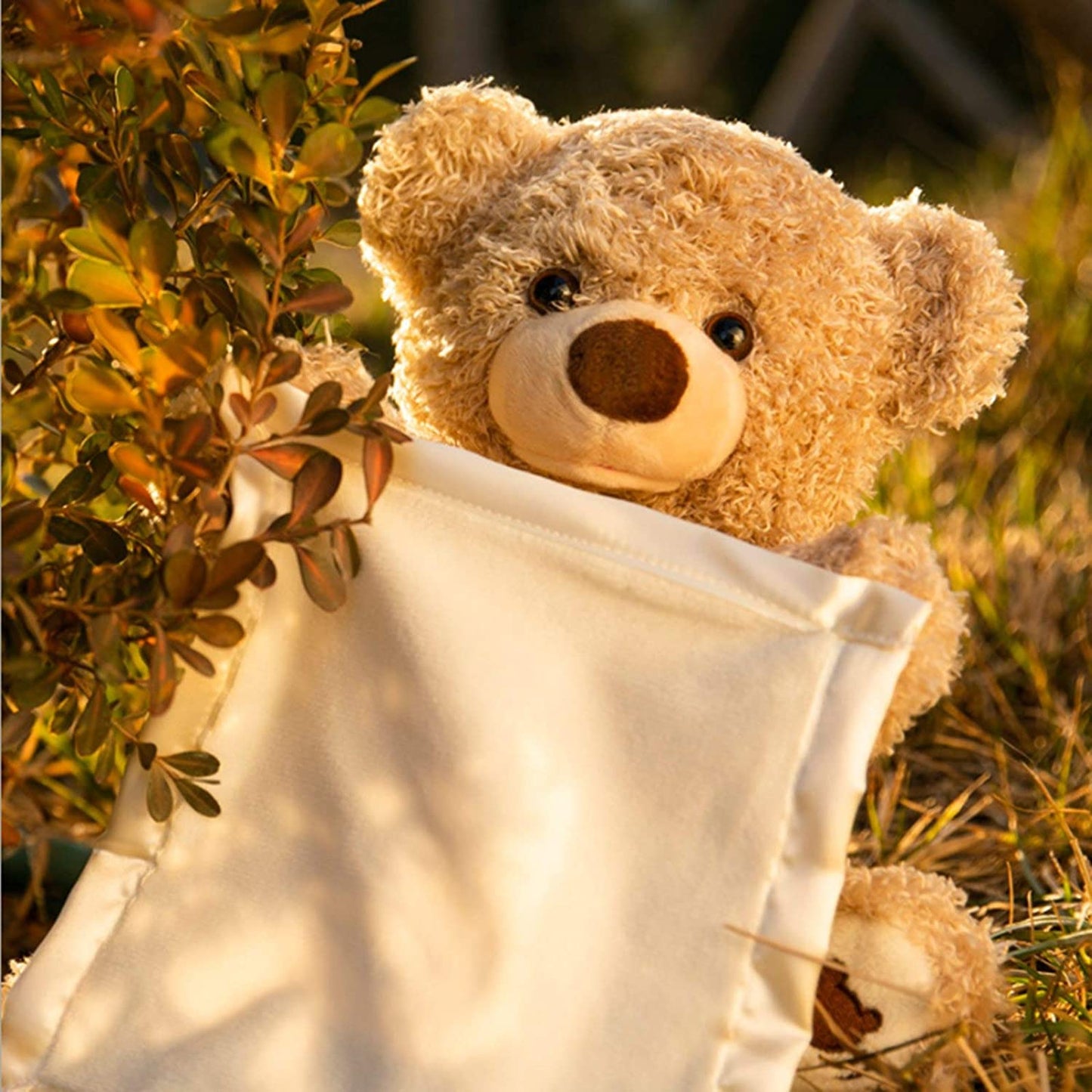 GOLDEN TEDDY🧸 EL JUGUETE QUE OFRECE HORAS DE DIVERSIÓN Y CUIDADO EMOCIONAL 👶