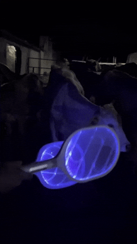 ¡ADIÓS ZANCUDOS!🦟 La Raqueta Eléctrica UV que Está Arransando en TikToK🔥